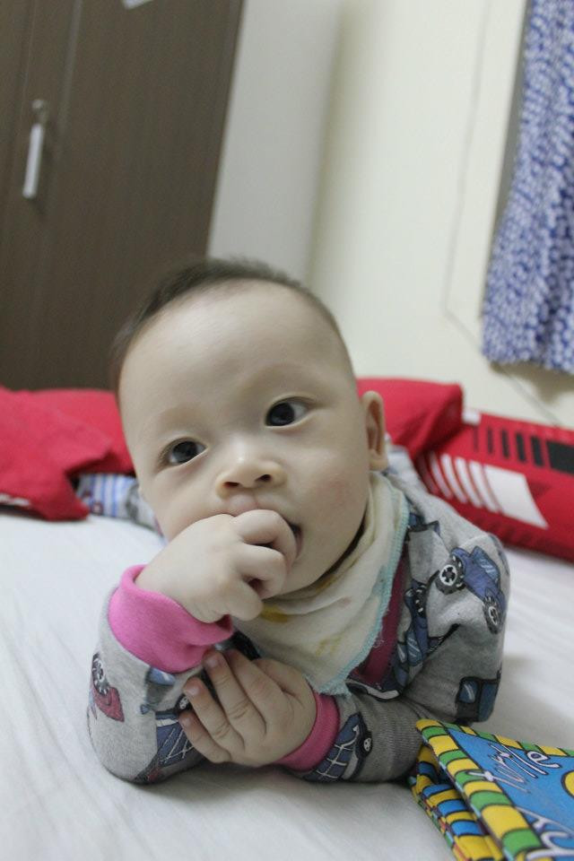 Bé Ken mới được 10 tháng tuổi nhưng Ken rất hiếu động