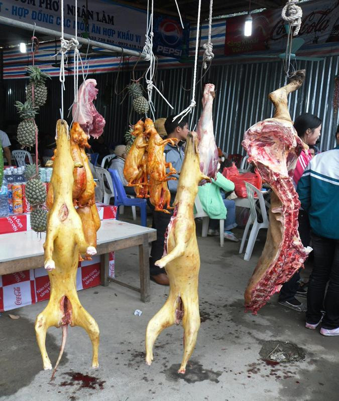 Nhìn cảnh những con thú bị làm lông, thui vàng rồi treo ngược và bị xẻo thịt với máu tươi chảy ròng ròng, đỏ lòm như thế này sẽ chẳng ai nghĩ rằng đây là nơi tôn nghiêm nơi cửa Phật tại chùa Hương mà nghĩ rằng mình đang đi lạc vào một "hội chợ thịt rừng" nào đó.