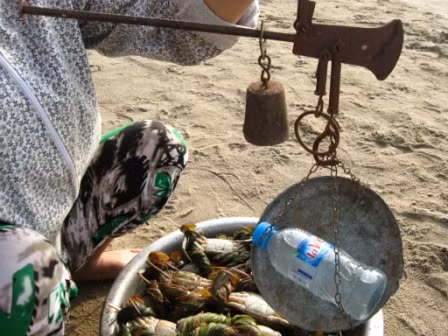 Cuộc mua bán đầy những tình huống “kéo cưa lừa xẻ”. Trong ảnh: Một du khách đáo để đòi kiểm tra cân bằng chai nước suối. Lần này chị gặp may vì cái cân chỉ hơi già một chút, nhưng chị cho biết lần trước một cái cân khác đã cân chai nước suối 350 ml này thành 600gr. Cuộc mua bán đầy những tình huống “kéo cưa lừa xẻ”. Trong ảnh: Một du khách đáo để đòi kiểm tra cân bằng chai nước suối. Lần này chị gặp may vì cái cân chỉ hơi già một chút, nhưng chị cho biết lần trước một cái cân khác đã cân chai nước suối 350 ml này thành 600gr.
