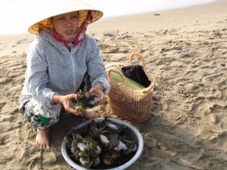 Du khách được khuyến cáo không mua hàng rong, không mua hải sản bán ở bãi biển Du khách được khuyến cáo không mua hàng rong, không mua hải sản bán ở bãi biển