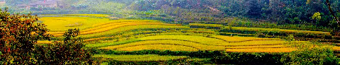 Bức họa vùng cao.