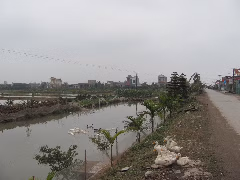 Đúng là cảnh buồn như mùa đông nông thôn Đúng là cảnh buồn như mùa đông nông thôn