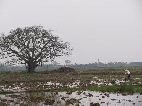 Mới mùng 3 Tết, đã có người dân xuống đồng Mới mùng 3 Tết, đã có người dân xuống đồng