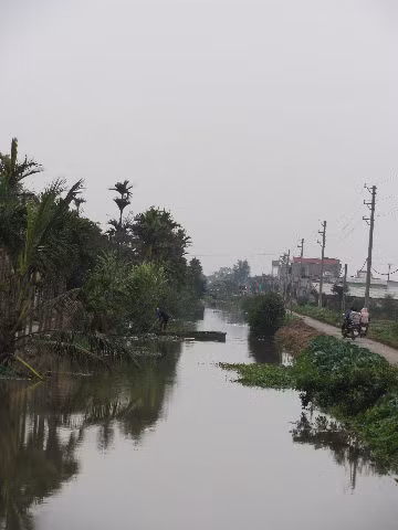 Nước lặng mùa đông ở con mương làng Nước lặng mùa đông ở con mương làng