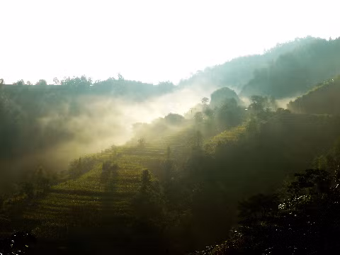 Sương sớm trên đất Nguyên Bình (Cao Bằng). Sương sớm trên đất Nguyên Bình (Cao Bằng).