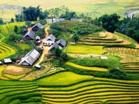 Vây quanh bản làng là những thửa ruộng bậc thang đẹp mê hồn.