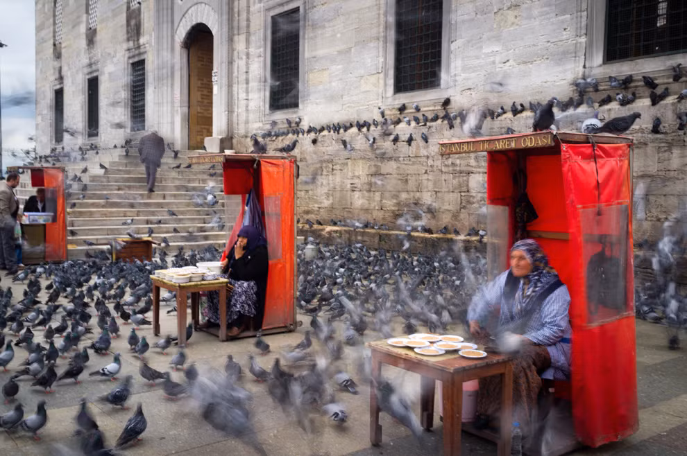 THE PIGEON FEEDERS: Bức ảnh này được chụp ở lối vào ngôi đền New Mosque ở quận Eminonu, Istanbul, Thổ Nhĩ Kỳ. Lũ chim bồ câu bay qua lại các bàn chứa thức ăn. THE PIGEON FEEDERS: Bức ảnh này được chụp ở lối vào ngôi đền New Mosque ở quận Eminonu, Istanbul, Thổ Nhĩ Kỳ. Lũ chim bồ câu bay qua lại các bàn chứa thức ăn.