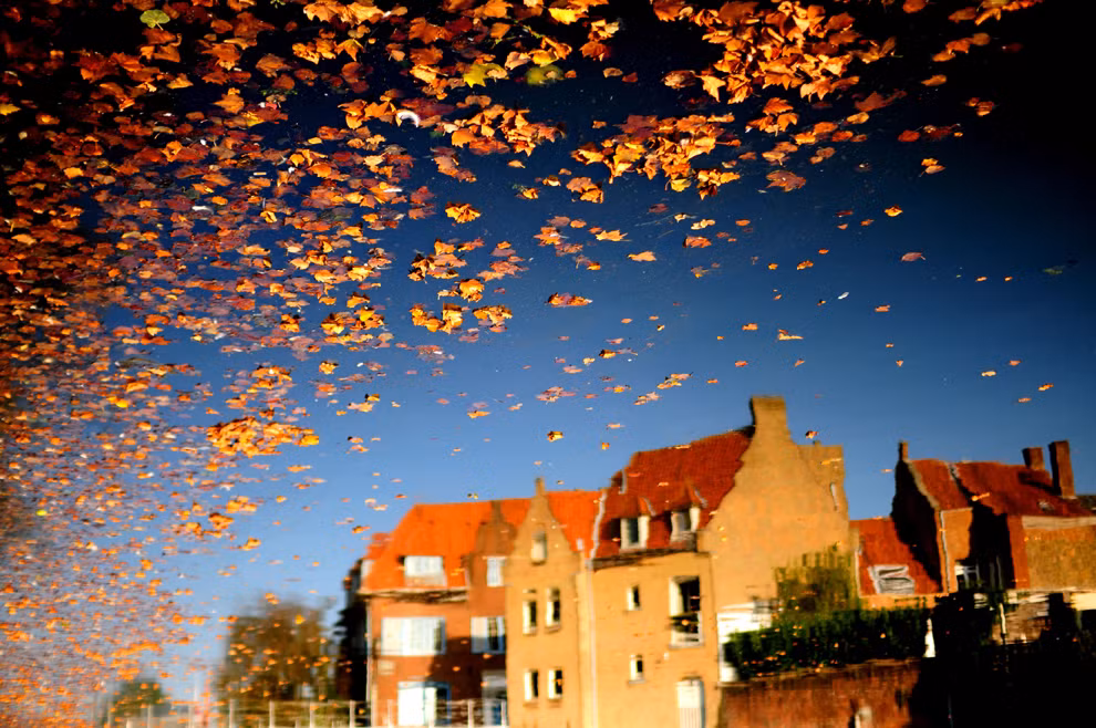 FALLING LEAVES: Bức ảnh này được chụp bởi Mandy Michels, ở Bruges, Bỉ, tháng 09/2011. FALLING LEAVES: Bức ảnh này được chụp bởi Mandy Michels, ở Bruges, Bỉ, tháng 09/2011.
