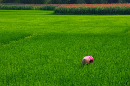 Thái Nguyên Thái Nguyên