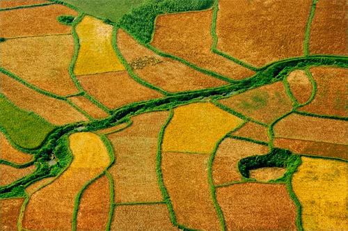 Cánh đồng ở Mai Châu (Hòa Bình)