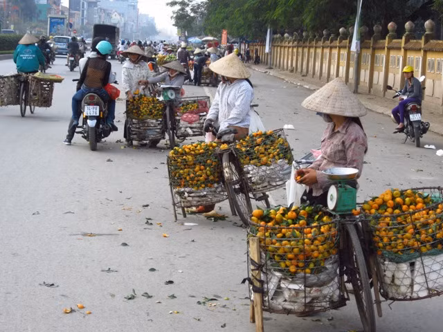 Dọc quốc lộ 32, đoạn Cầu Diễn có gần 20 hàng hoa quả bán ở lòng đường
