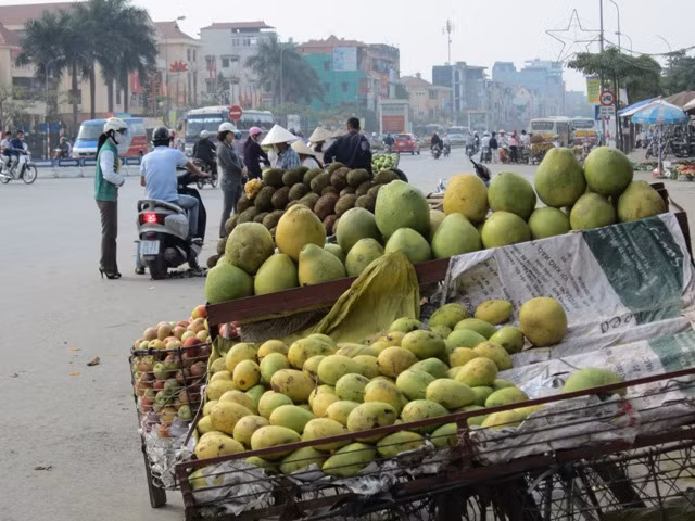 Những sọt hoa quả chồng chất, cao ngất lấn chiếm hết lòng đường
