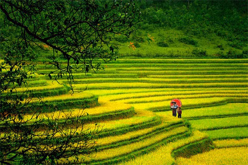 Sắc màu Tây Bắc Sắc màu Tây Bắc