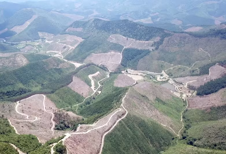 Rừng phòng hộ tại thị xã Đông Triều (Quảng Ninh) bị phá tan, đốt trọc. (Ảnh: Lã Tiến)