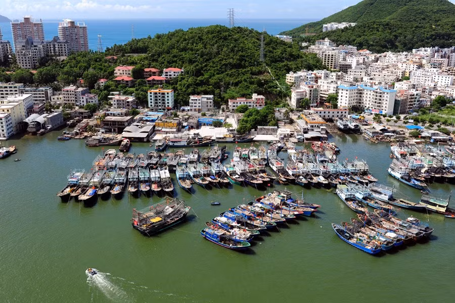 Gần 9000 tàu Trung Quốc đã tràn ra Biển Đông đánh bắt cá trái phép. Gần 9000 tàu Trung Quốc đã tràn ra Biển Đông đánh bắt cá trái phép.