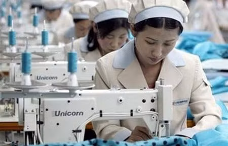Cơ quan ngôn luận của Đảng Lao động Triều Tiên đang tăng cường thông tin kinh tế khiến các nhà phân tích đang dự đoán về một cuộc cải cách kinh tế ở nước này.