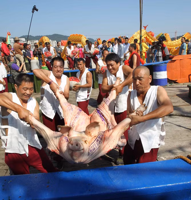 Thịt lợn cúng tế trước khi đổ ra biển Hoa Đông đánh bắt