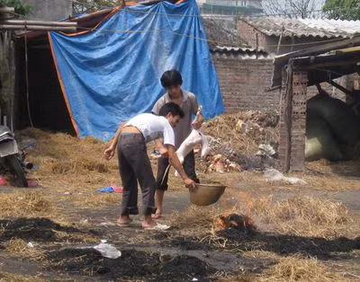 Thậm chí, có không ít quán thịt chó còn tiến hành mổ chó, thui chó ngay tại trước cửa hàng, trên nền đất mất vệ sinh. Những quán thịt chó này bao quanh là rác rưởi và ruồi nhặng bay khắp nơi. Ảnh: Hình ảnh thui chó tại một quán thịt chó tại Lĩnh Nam, Hà Nội.