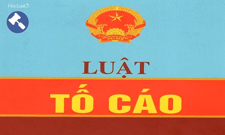Nghị định 31/2019/NĐ-CP quy định cụ thể những trường hợp bị cách chức khi vi phạm luật Tố cáo. Nghị định 31/2019/NĐ-CP quy định cụ thể những trường hợp bị cách chức khi vi phạm luật Tố cáo.