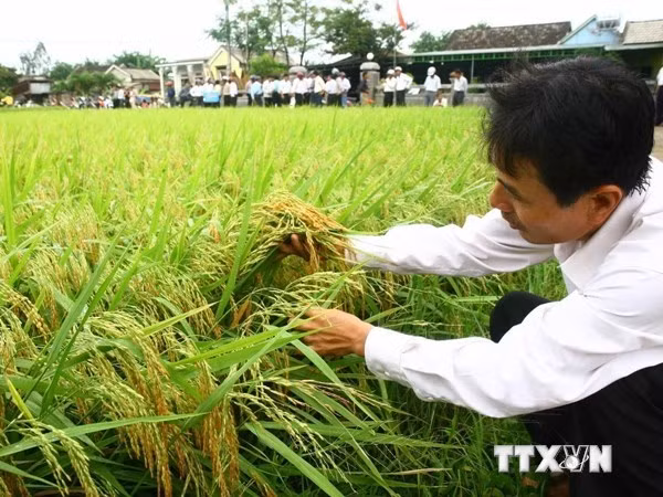 Chính sách hỗ trợ bảo hiểm nông nghiệp
