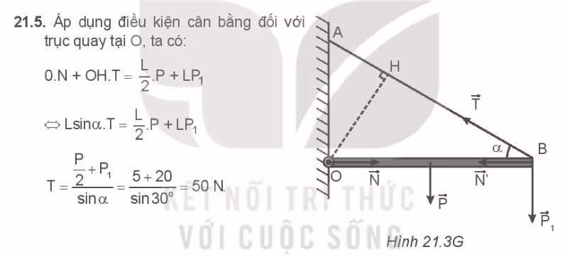 Hình vẽ trong sách bài tập Kết nối tri thức với cuộc sống. (Nguồn ảnh: Mai Văn Túc)
