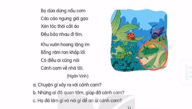 Sách minh họa nhầm bọ rùa thành bọ dừa, cào cào trông giống bọ rầy. (Ảnh: Cao Nguyên) Sách minh họa nhầm bọ rùa thành bọ dừa, cào cào trông giống bọ rầy. (Ảnh: Cao Nguyên)
