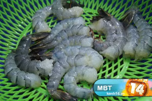 Bước 1: Bóc vỏ tôm, chừa đuôi, rửa thật sạch và để ráo. Xem thêm: các bài thuốc dân gian chữa bệnh hiệu quả. Bước 1: Bóc vỏ tôm, chừa đuôi, rửa thật sạch và để ráo. Xem thêm: các bài thuốc dân gian chữa bệnh hiệu quả.