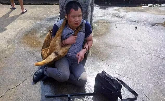 Hai tên trộm này đã giết và bắt trộm hai con chó.