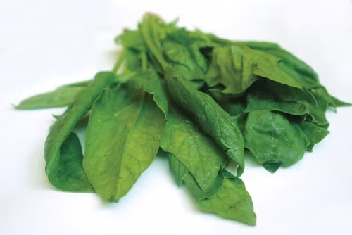 Cải bó xôi: Được xem là một trong những nguồn folate tốt nhất, giúp ngăn ngừa tình trạng sẩy thai, tim mạch, ung thư ruột kết và mất trí nhớ. Đây là loại rau cải đặc biệt tốt cho phụ nữ, giúp bảo vệ da trước tổn hại từ nhiệt độ và giảm nếp nhăn cũng như tình trạng da xù xì, thô ráp. Khẩu phần: 2-3 bữa/tuần. Xem thêm:Điểm danh những loại quả chữa trị bệnh "khó nói"