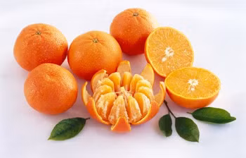 Khi quýt chín các chất này sẽ tập trung ở ngoài vỏ, chính vì vậy nếu ăn vỏ quýt cơ thể bạn sẽ phải chống trọi lại các độc tố và nhiều khả năng sẽ bị nhiễm độc nhẹ đối với người lớn, còn riêng với trẻ nhỏ hoặc những người có sức đề kháng yếu thì có thể gây ra hiện tượng tương tự như ngộ độc thực phẩm. Khi quýt chín các chất này sẽ tập trung ở ngoài vỏ, chính vì vậy nếu ăn vỏ quýt cơ thể bạn sẽ phải chống trọi lại các độc tố và nhiều khả năng sẽ bị nhiễm độc nhẹ đối với người lớn, còn riêng với trẻ nhỏ hoặc những người có sức đề kháng yếu thì có thể gây ra hiện tượng tương tự như ngộ độc thực phẩm.