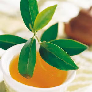 Trà xanh: Bình thường trà xanh là loại đồ uống thanh lọc rất có lợi cho sức khỏe nhưng với thuốc chống ung thư có tên bortezomib – có khả năng “đánh bại” với những tế bào ung thư thì trà xanh lại là thức uống khắc tinh của thuốc. Trà xanh: Bình thường trà xanh là loại đồ uống thanh lọc rất có lợi cho sức khỏe nhưng với thuốc chống ung thư có tên bortezomib – có khả năng “đánh bại” với những tế bào ung thư thì trà xanh lại là thức uống khắc tinh của thuốc.