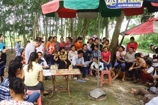 Giáo viên chưa đạt chuẩn nhưng thời gian công tác còn lại dưới 5 năm sẽ ra sao? ảnh 2