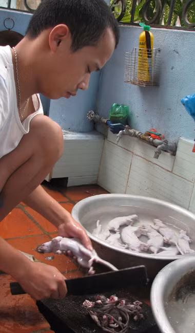 Tuy nhiên ở Việt Nam, thịt chuột cống có thể chế biến thành nhiều món ăn, thậm chí ở nhiều vùng nó còn là một đặc sản đắt tiền.