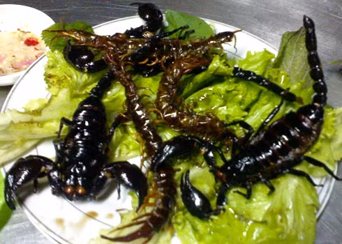 Bò cạp, bọ hung, bọ xít: Người ta thường chế biến thành món nướng hoặc xông khói. Giá bán khoảng 50.000 đồng/đĩa chừng 5, 6 con.
