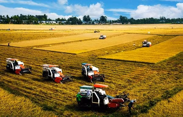 Thủ tướng vừa phê duyệt Đề án lựa chọn, hoàn thiện, nhân rộng mô hình hợp tác xã kiểu mới hiệu quả tại các địa phương trên cả nước giai đoạn 2021 - 2025. Ảnh minh họa: Báo Nhân dân Thủ tướng vừa phê duyệt Đề án lựa chọn, hoàn thiện, nhân rộng mô hình hợp tác xã kiểu mới hiệu quả tại các địa phương trên cả nước giai đoạn 2021 - 2025. Ảnh minh họa: Báo Nhân dân