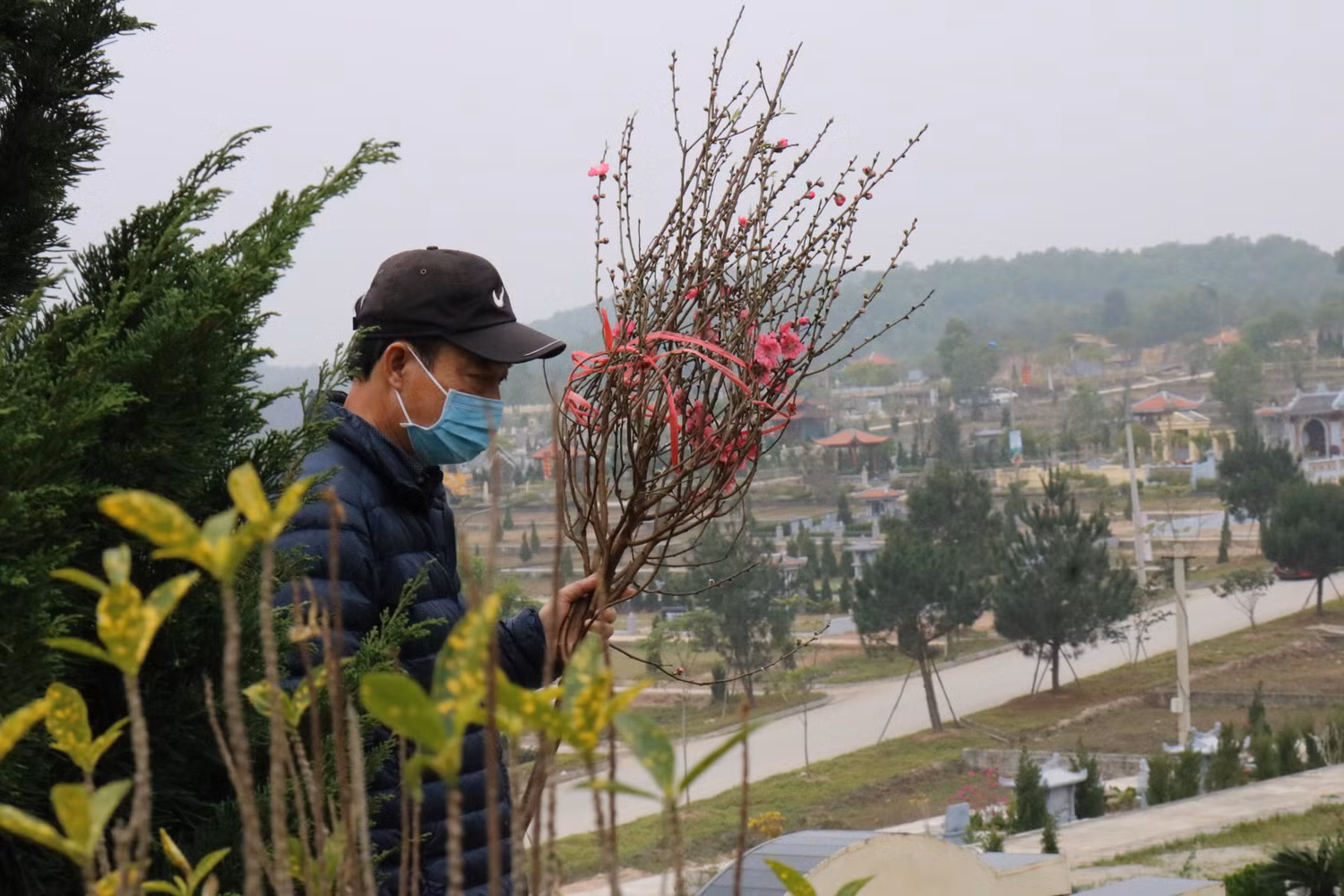 Những cành đào, cây quất... được các gia đình mang đến đặt tại các phần mộ của người thân. Ảnh: Đ.T
