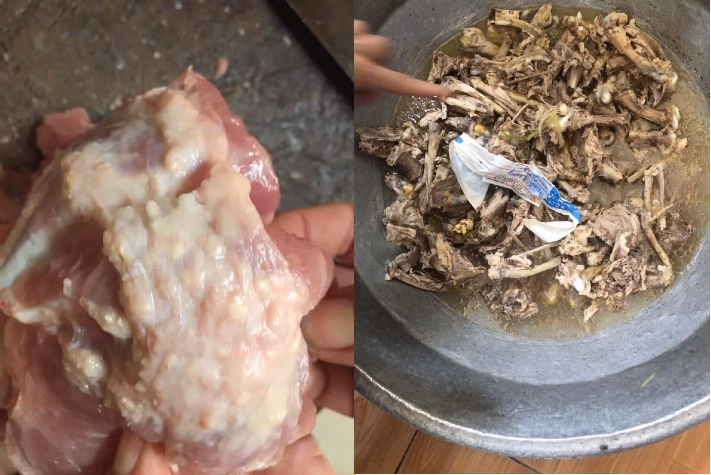 Thịt lợn có dấu hiệu bị nhiễm sán gạo (bên trái) và thịt gà bốc mùi ôi thiu bị phát hiện tại Trường mầm non Thanh Khương trước khi chế biến cho 586 học sinh ăn. Ảnh: NVCC. Thịt lợn có dấu hiệu bị nhiễm sán gạo (bên trái) và thịt gà bốc mùi ôi thiu bị phát hiện tại Trường mầm non Thanh Khương trước khi chế biến cho 586 học sinh ăn. Ảnh: NVCC.