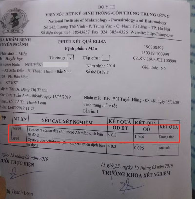 Một trường hợp trẻ tại mầm non Mão Điền bị nhiễm sán dây chó. Hôm nay Bắc Ninh tổ chức xét nghiệm máu tại mầm non Mão Điền có khoảng 500 cháu đến làm xét nghiệm. Ảnh: NVCC. Một trường hợp trẻ tại mầm non Mão Điền bị nhiễm sán dây chó. Hôm nay Bắc Ninh tổ chức xét nghiệm máu tại mầm non Mão Điền có khoảng 500 cháu đến làm xét nghiệm. Ảnh: NVCC.