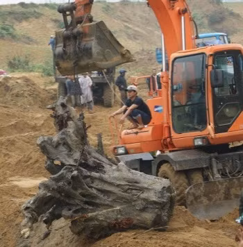 Trước đó và tháng 2/2014 cha con ông Nguyễn Văn Thời đã phát hiện một gốc gỗ sưa lớn ở ngầm suối tróoc, xã Phúc Trạch, huyện Bố Trạch, Quảng Bình hàng nghìn người dân cũng đã kéo về đây tìm vận may Trước đó và tháng 2/2014 cha con ông Nguyễn Văn Thời đã phát hiện một gốc gỗ sưa lớn ở ngầm suối tróoc, xã Phúc Trạch, huyện Bố Trạch, Quảng Bình hàng nghìn người dân cũng đã kéo về đây tìm vận may