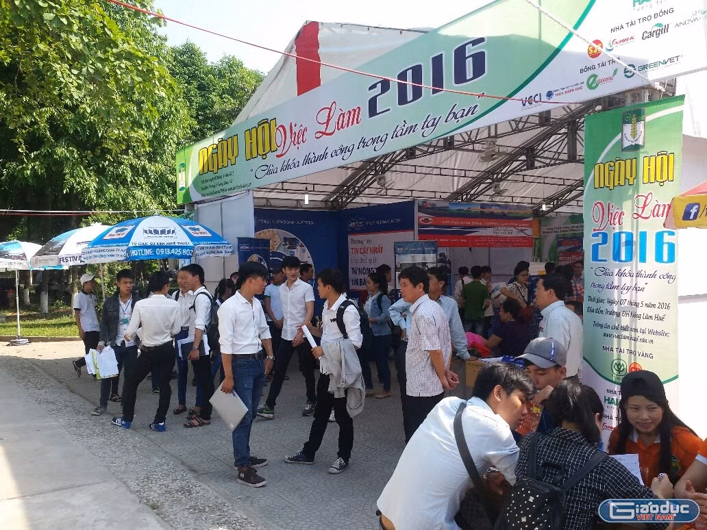 Trường phải dừng tuyển sinh nếu khai không đúng tỷ lệ sinh viên có việc làm (Ảnh: giaoduc.net.vn) Trường phải dừng tuyển sinh nếu khai không đúng tỷ lệ sinh viên có việc làm (Ảnh: giaoduc.net.vn)