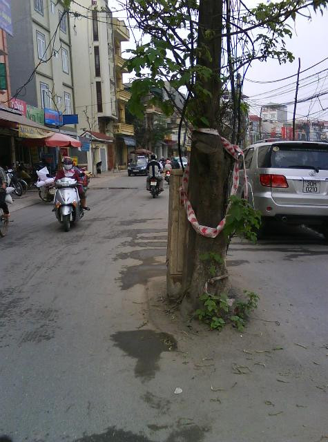 Không chỉ cột điện, sau khi nâng cấp cây xanh tụ điện cũng được “đẩy ra” giữa lòng đường. Tình trạng này kéo dài không những gây mất mĩ quan đô thị, mà còn tiềm ẩn rất nhiều nguy hiểm cho những người tham gia giao thông, nhất là những người tham gia giao thông vào thời điểm trời tối.