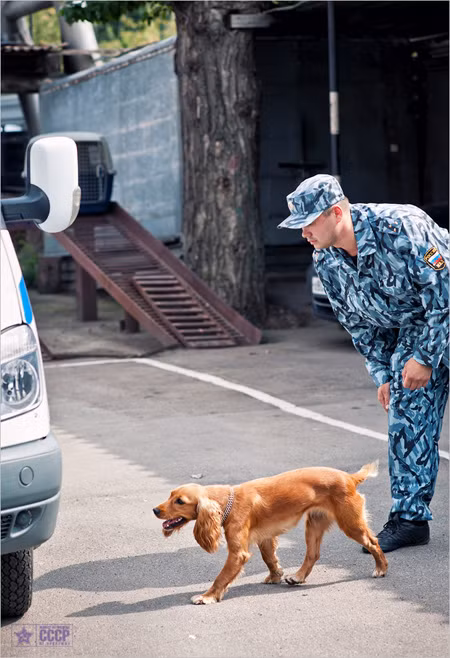 Bài tập thứ 3: tìm chất nổ giấu trong xe ô tô Bài tập thứ 3: tìm chất nổ giấu trong xe ô tô