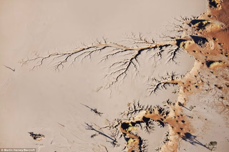 Sa mạc Sossusvlei, Namibia. Sa mạc Sossusvlei, Namibia.