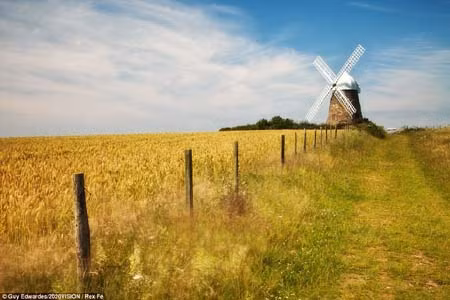Cảnh nông thôn thanh bình với chiếc cối xay gió và cánh đồng lúa mì vàng óng ở Chichester, West Sussex. Cảnh nông thôn thanh bình với chiếc cối xay gió và cánh đồng lúa mì vàng óng ở Chichester, West Sussex.