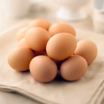 1. Trứng gà ta (gà nhà) là loại trứng phổ biến nhất và cũng là loại trứng được tiêu thụ nhiều nhất trên thế giới. Trứng gà là nguồn dinh dưỡng quý giá với sức khỏe, cung cấp cho cơ thể một lượng lớn phôtpho, kẽm và kali. Ngoài ra trứng gà còn chứa nhiều canxi, sunful và các loại vitamin đa dạng như vitamin A, D, E, B1, B2 và rất dồi dào vitamin D. 1. Trứng gà ta (gà nhà) là loại trứng phổ biến nhất và cũng là loại trứng được tiêu thụ nhiều nhất trên thế giới. Trứng gà là nguồn dinh dưỡng quý giá với sức khỏe, cung cấp cho cơ thể một lượng lớn phôtpho, kẽm và kali. Ngoài ra trứng gà còn chứa nhiều canxi, sunful và các loại vitamin đa dạng như vitamin A, D, E, B1, B2 và rất dồi dào vitamin D.