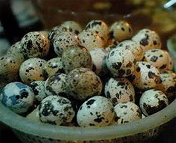 Tuy nhiên, những người già, người mắc tăng huyết áp, người dễ có nguy cơ bị tim mạch hay người có hàm lượng cholesterol trong máu cao nên hạn chế ăn trứng cút vì trong thành phần của trứng cút có chứa một lượng lớn cholesterol. Tuy nhiên, những người già, người mắc tăng huyết áp, người dễ có nguy cơ bị tim mạch hay người có hàm lượng cholesterol trong máu cao nên hạn chế ăn trứng cút vì trong thành phần của trứng cút có chứa một lượng lớn cholesterol.