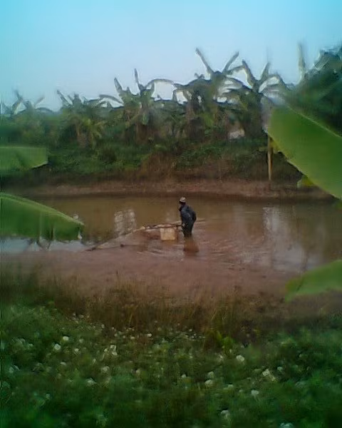 Đầm nuôi trồng thủy sản, dưới sự “trông nom” của chính quyền đã bị tận diệt. Đầm nuôi trồng thủy sản, dưới sự “trông nom” của chính quyền đã bị tận diệt.