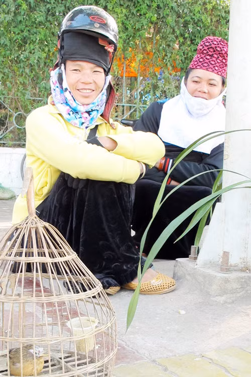 Không nhất thiết đi xe mới đội mũ bảo hiểm