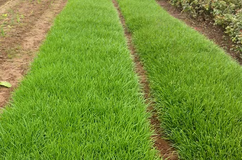 Dân biểu Nguyễn Hữu Kiên "đòi nợ" Chủ tịch Hà Nội ảnh 2 Dân biểu Nguyễn Hữu Kiên "đòi nợ" Chủ tịch Hà Nội ảnh 2