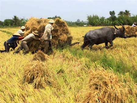 40 năm sau khi thống nhất đất nước, kinh tế Việt Nam vẫn đang ở một khoảng cách khá xa so với Nhật Bản, Hàn Quốc, Malaysia.